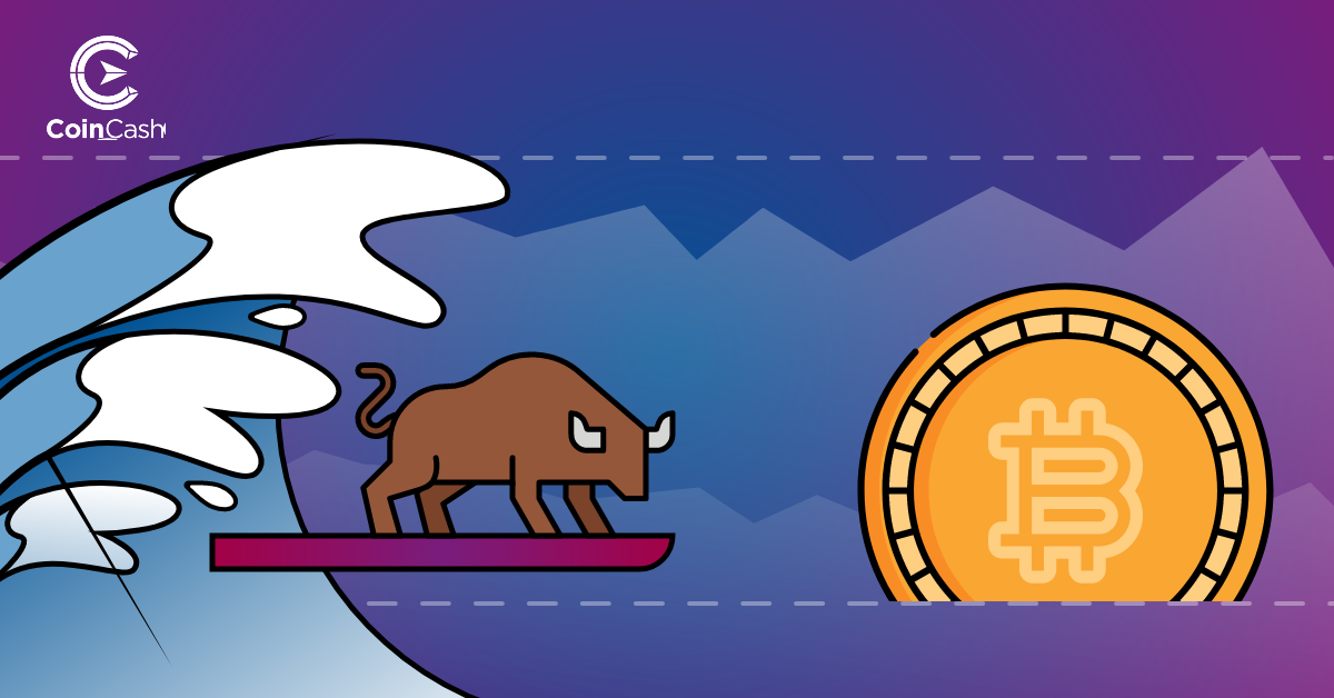 Bitcoin Hodler hírek - 3. hét